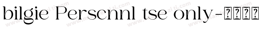 bilgie Perscnnl tse only字体转换